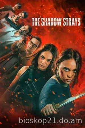 Nonton Film The Shadow Strays (2024) Subtitle Indonesia